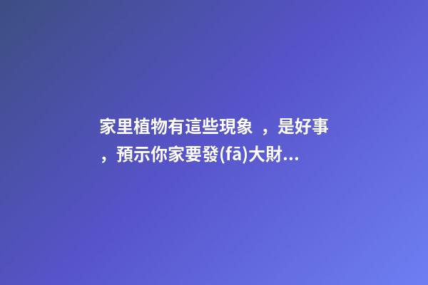 家里植物有這些現象，是好事，預示你家要發(fā)大財了！